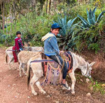 Llamellín